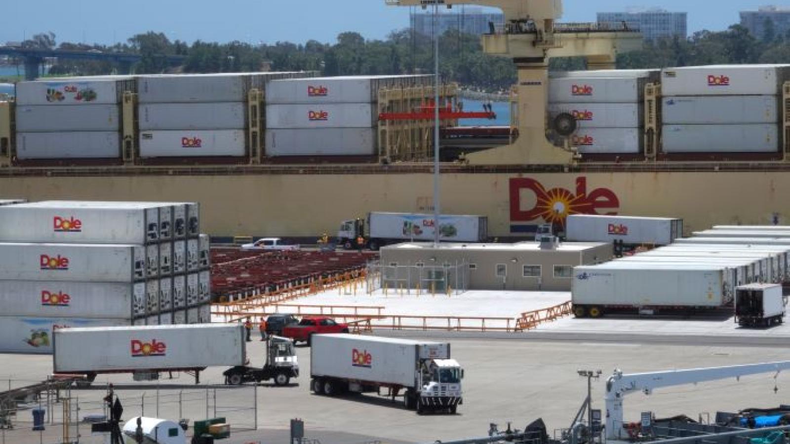 Dole's cargo division brings new weekly service to Tampa