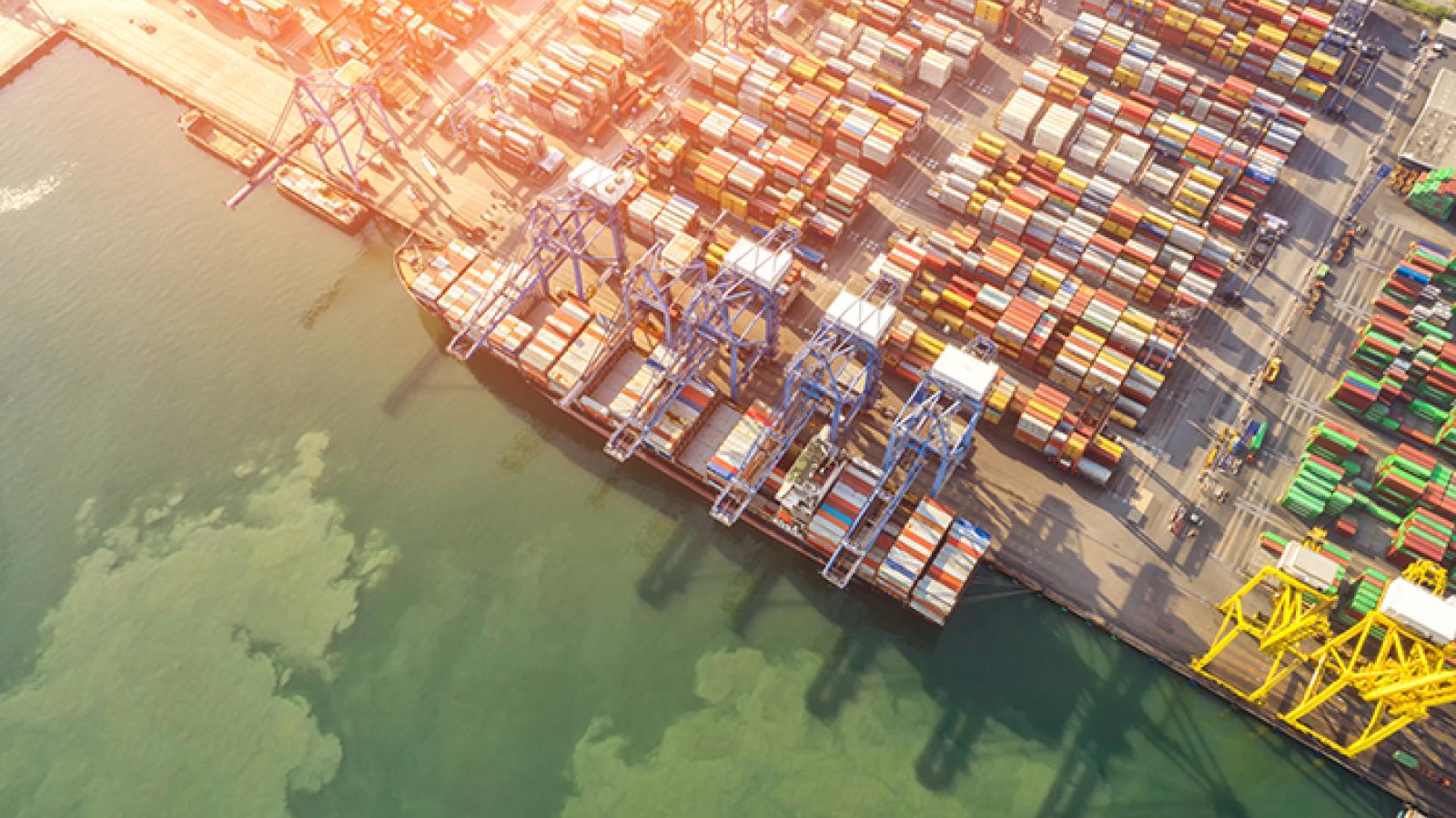 TPM21: Surprise demand, not greed, sent container rates soaring | Journal  of Commerce