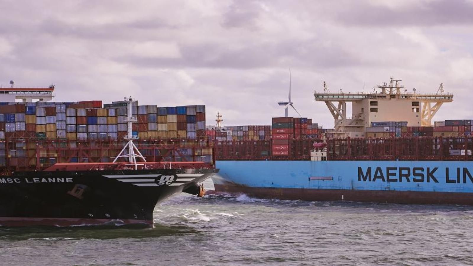 Ocean carriers on transnational regulatory defensive over antitrust immunity