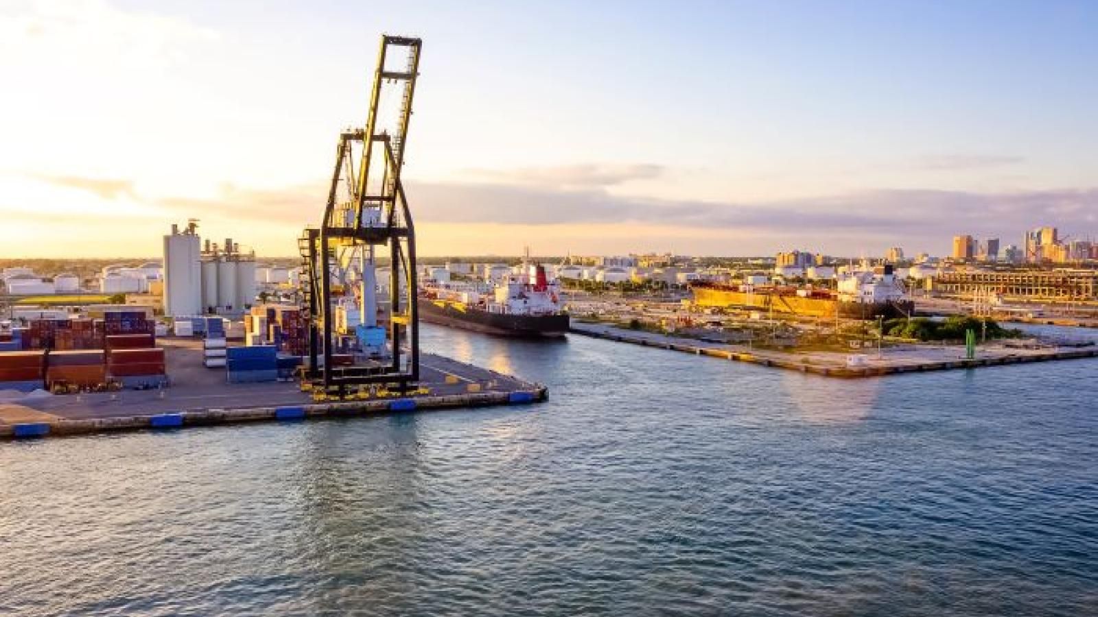 Sealand takes slots on restarted USVenezuela service Journal of Commerce