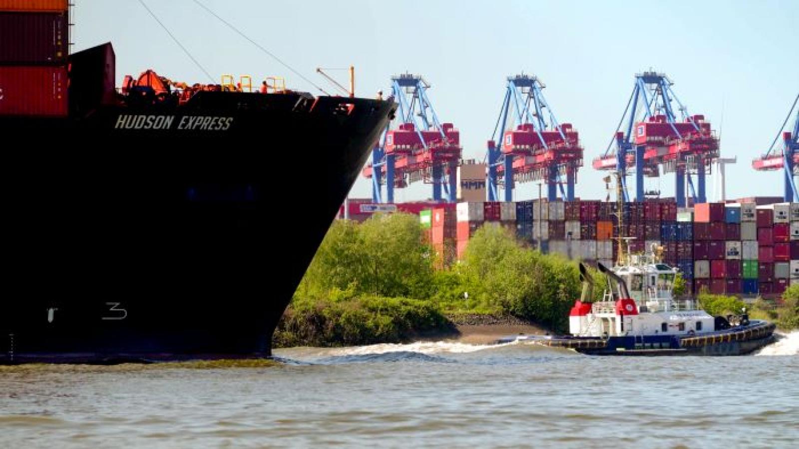 Hamburg follows North Europe port rivals with drop in 2023 volume ...