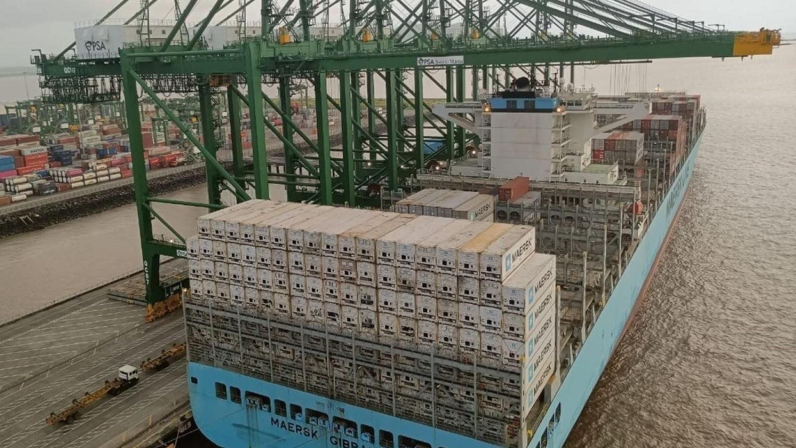 India-US carriers lower spot rates for end-March sailings to push bookings