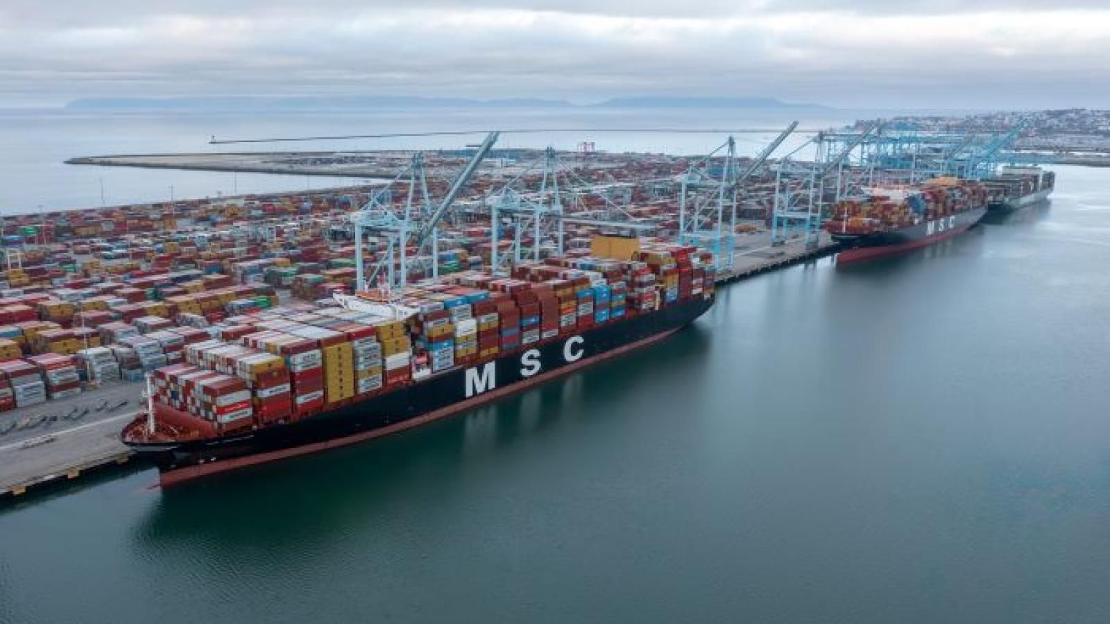 Truckers urge single appointment system across Southern California port complex