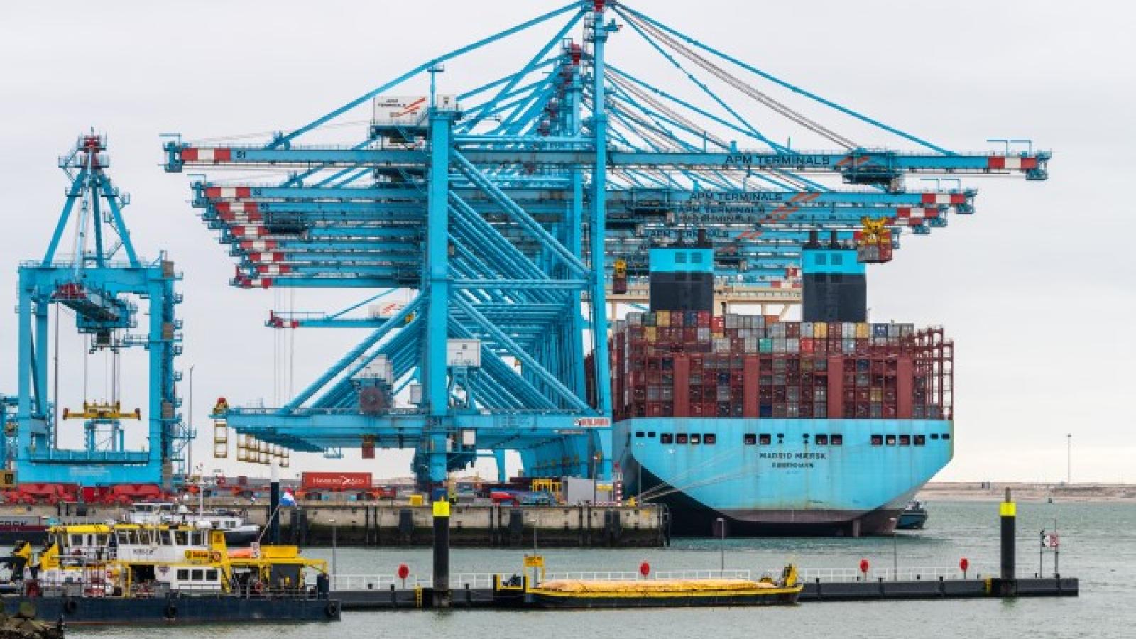 APM plans to double container capacity at Rotterdam terminal