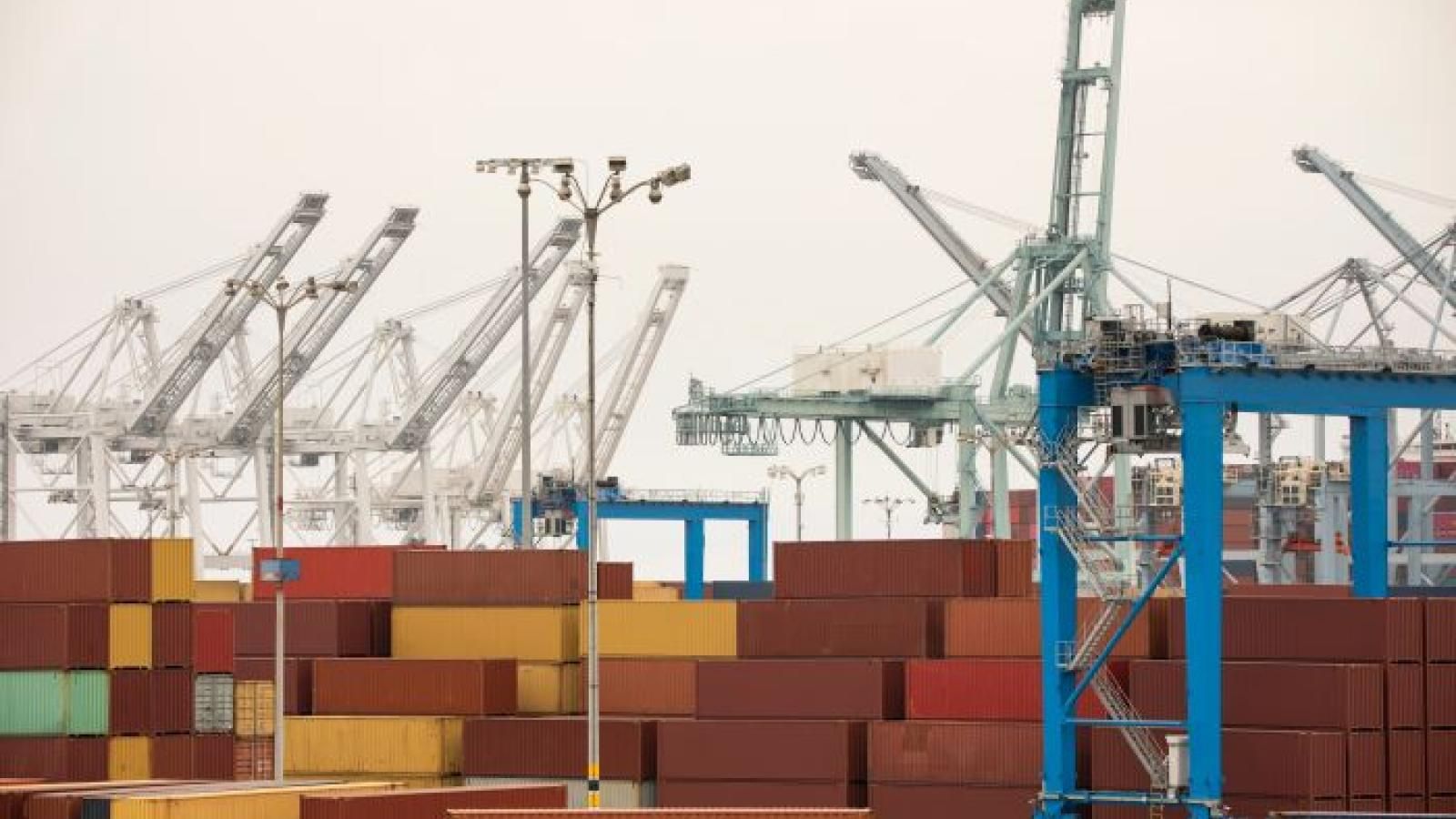 Asia-USWC schedule reliability fell in February, bucking global trend