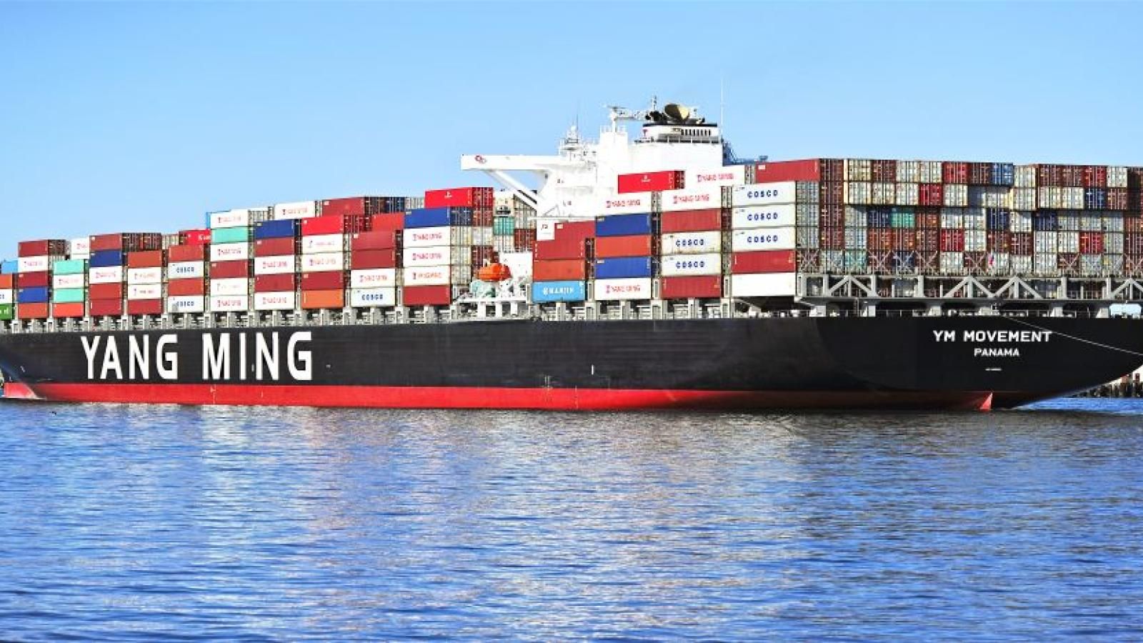 Carriers face choppy first half ahead of more positive H2 Yang Ming Journal of Commerce