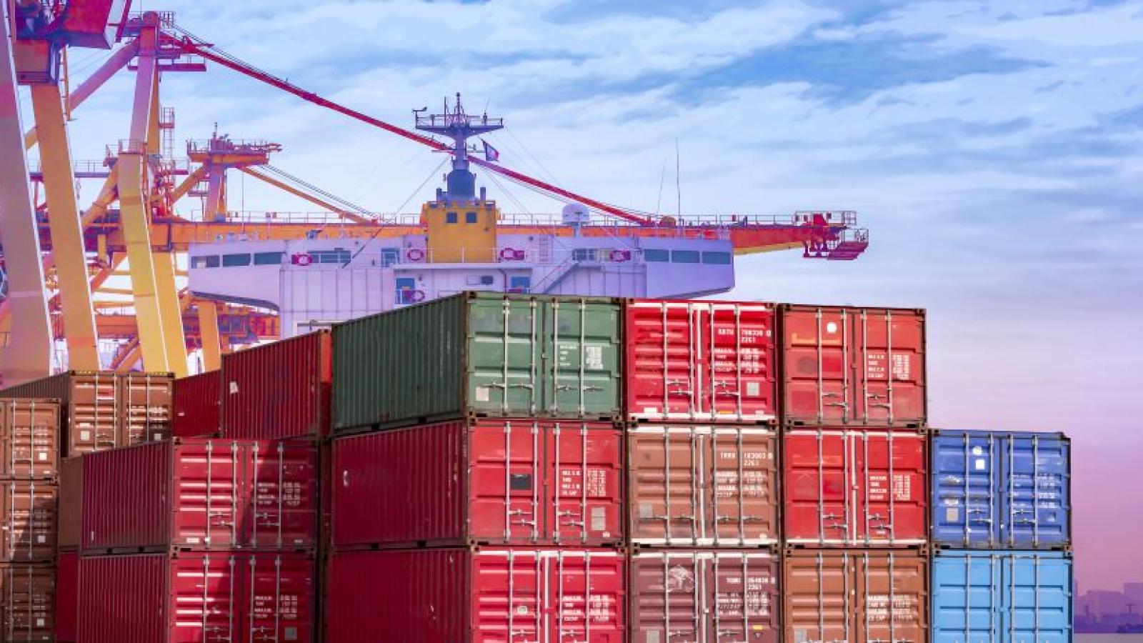 ‘Modern’ Forwarders Must Navigate Uncertainty Of Ocean Container Rates ...