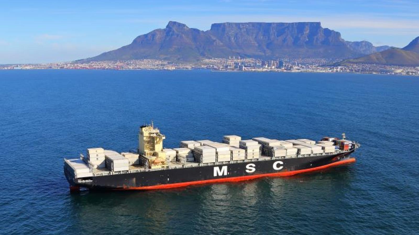 MSC offers 6 billion for Bolloré’s African terminal assets Journal