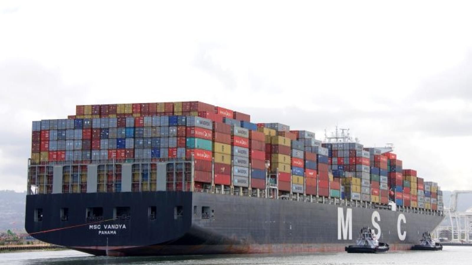 MSC tops ocean carrier capacity ranks Alphaliner Journal of Commerce