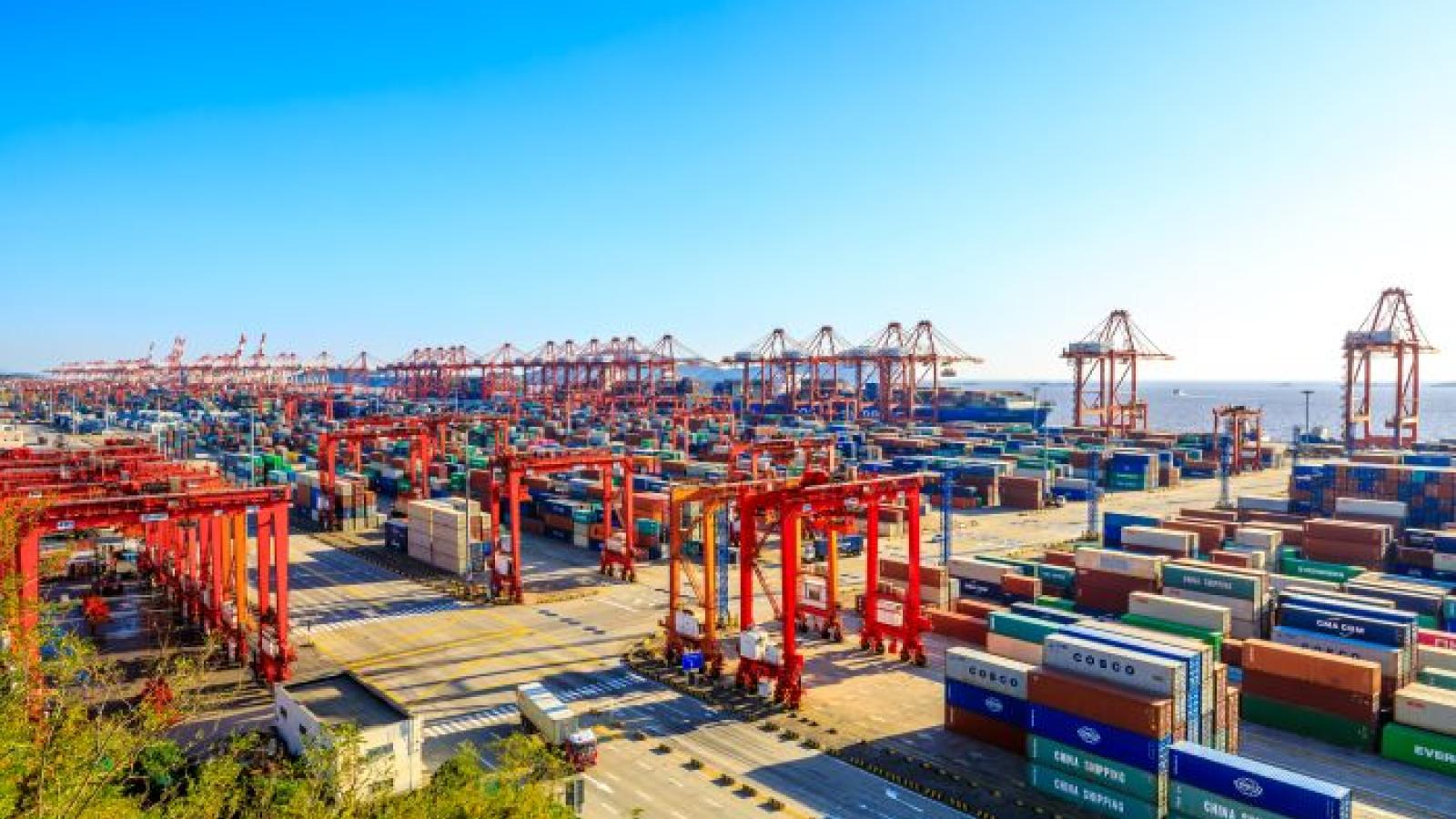 Shanghai, Ningbo ports closed for second time this month ahead of new ...