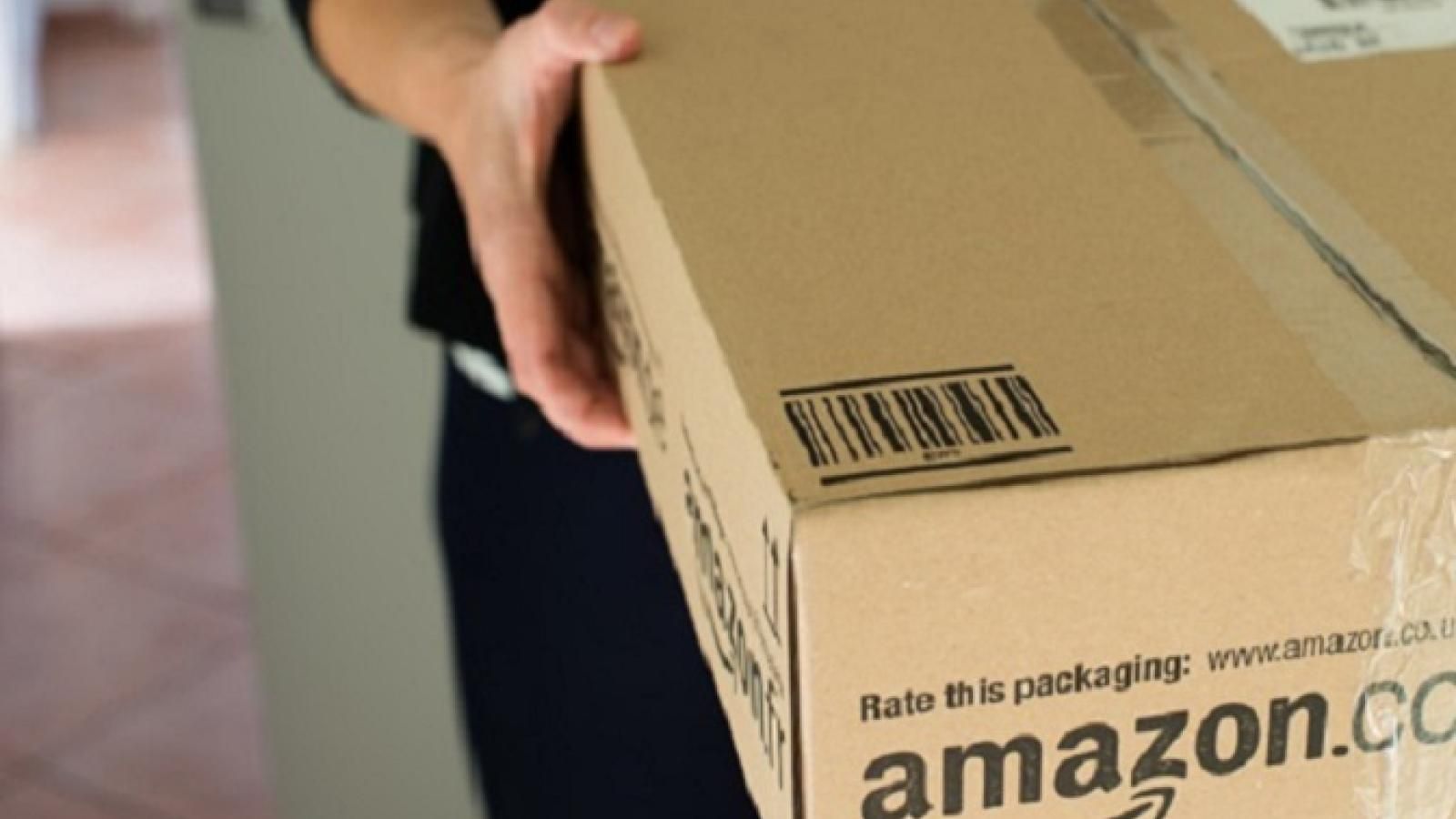 Amazon van order accelerates delivery network strategy Journal of