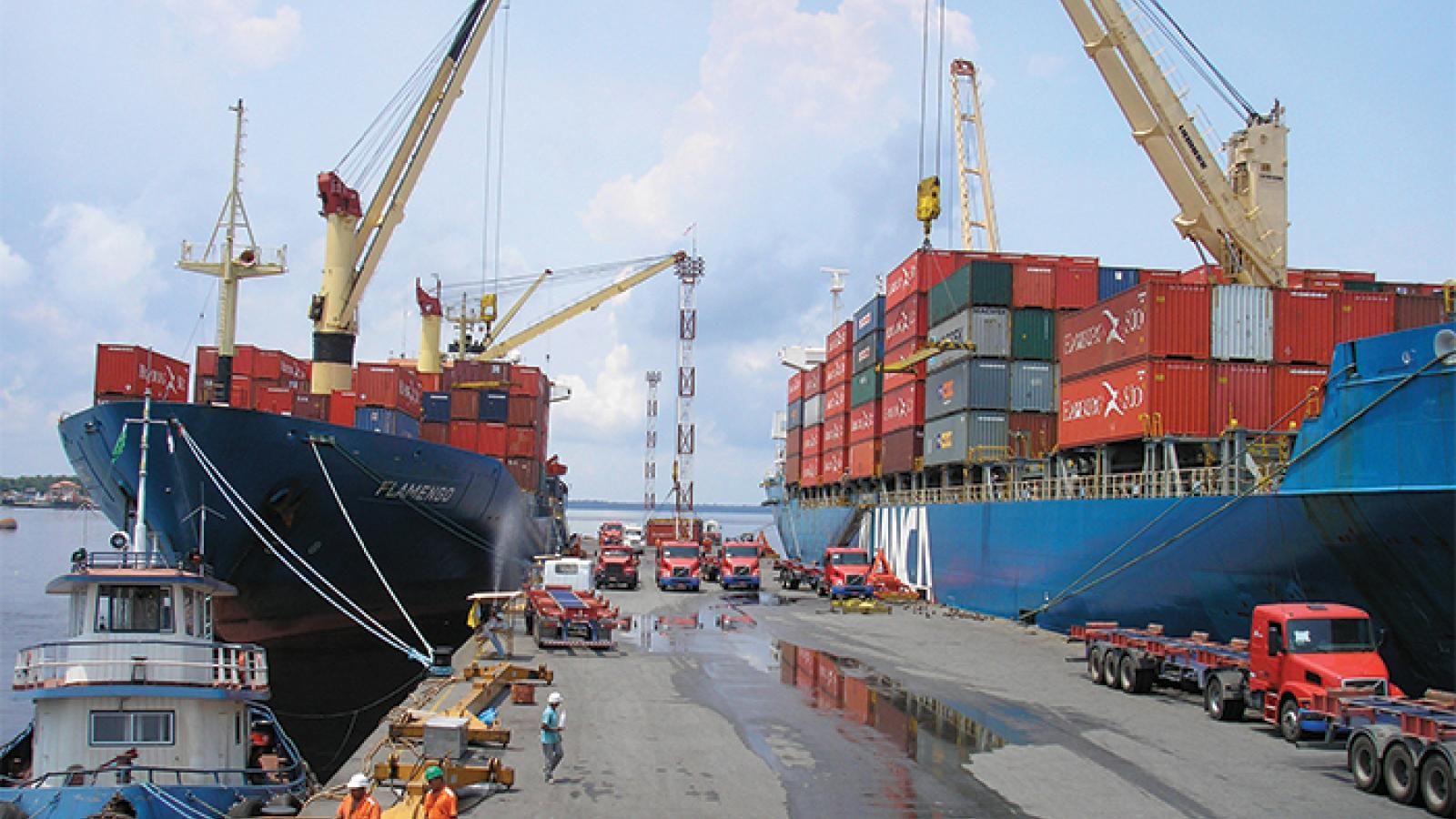 Container terminals in jungle city of Manaus face growing pains