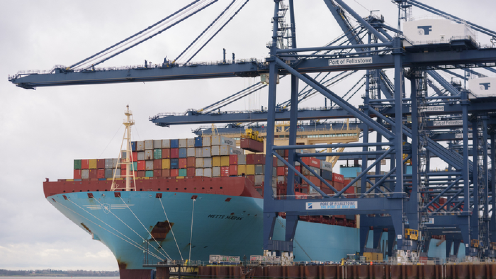 Maersk no longer taking empties at Felixstowe as congestion grows