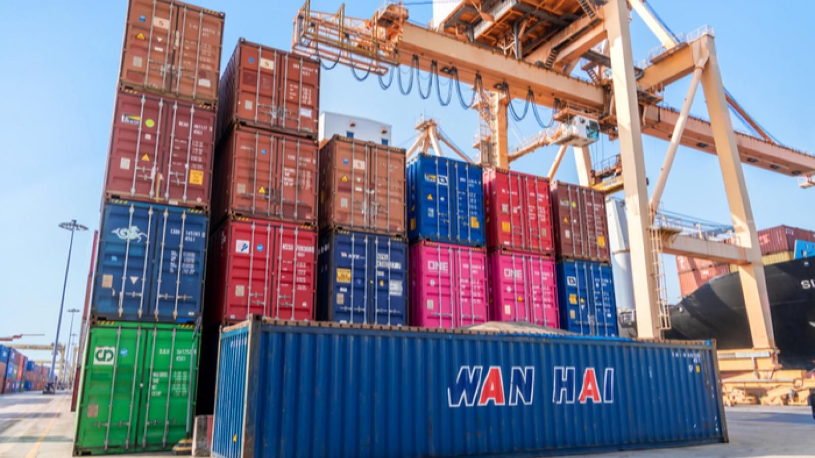 FMC probing Wan Hai over empty container detention charges Journal of