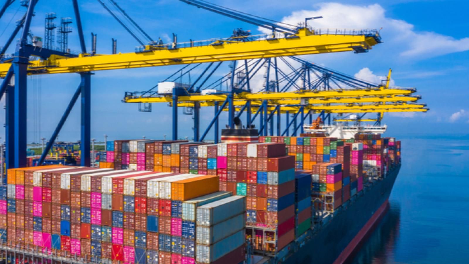 Container shipping profits in 20212022 to hit 300 billion Drewry