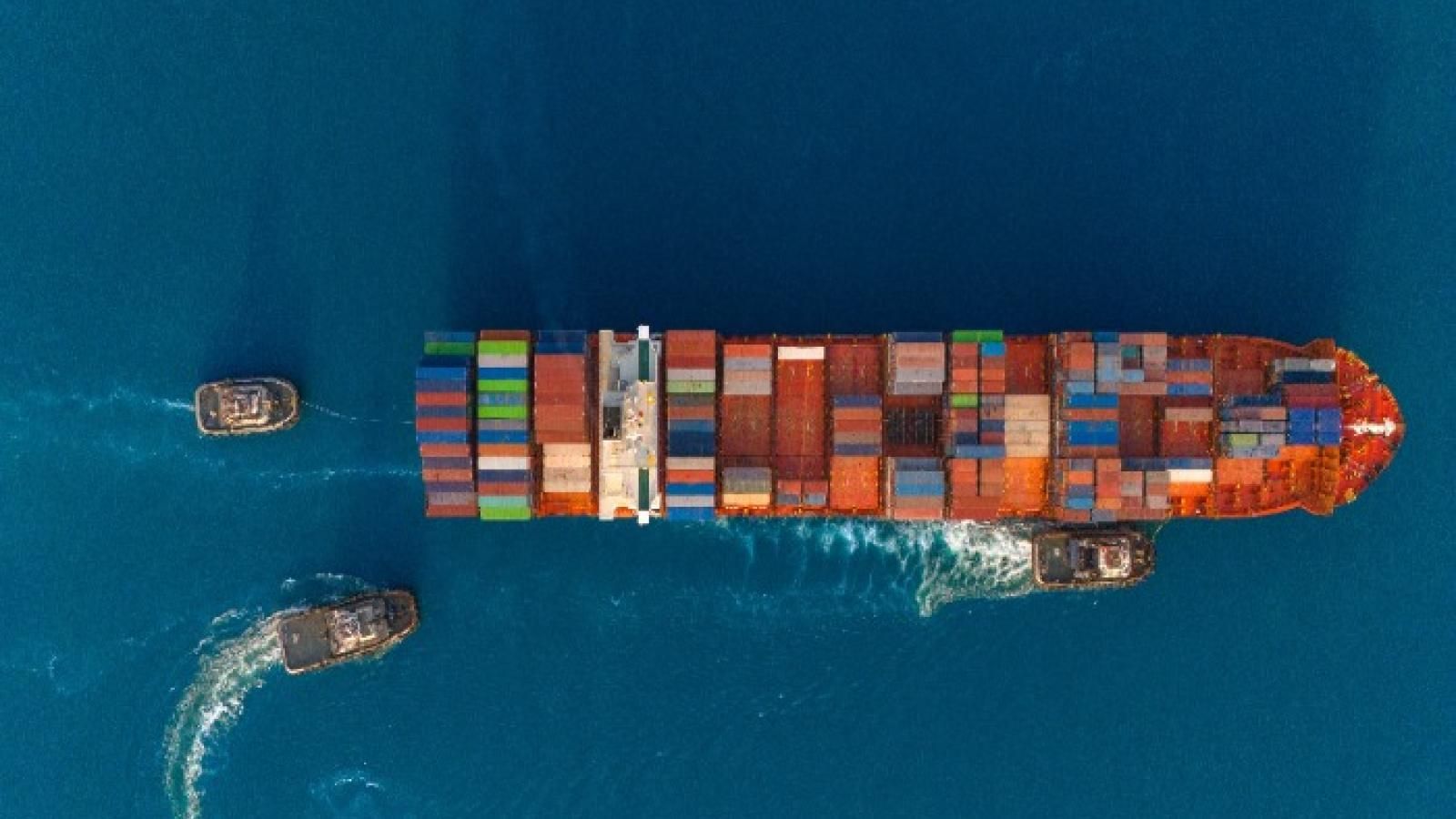 Top 100 Importer/Exporter Rankings: Biggest shippers rise in down year