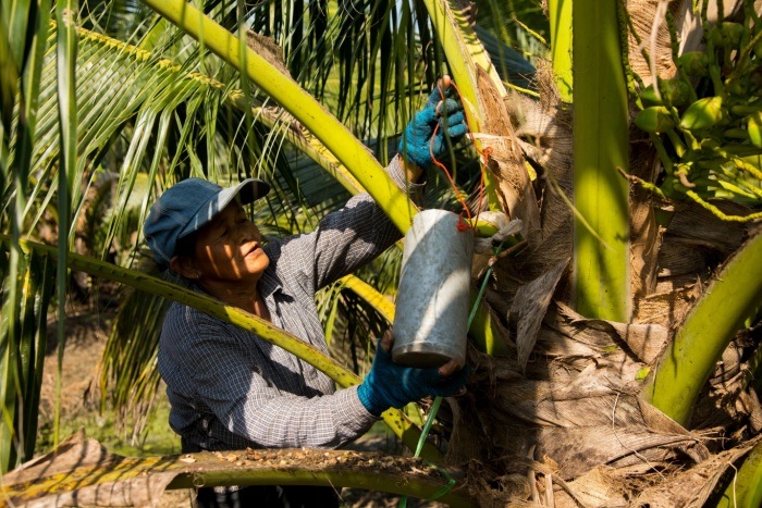 Delay in Europe’s deforestation rule does not address key issues: palm oil industry