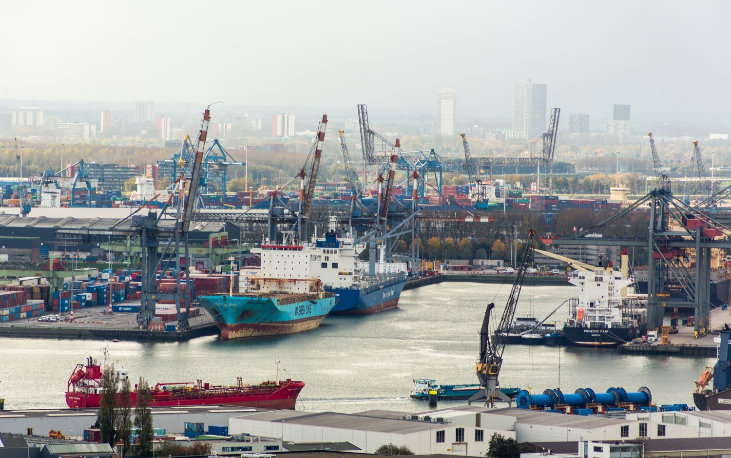 TPM25: Months of port congestion face carriers’ Red Sea return: Rotterdam