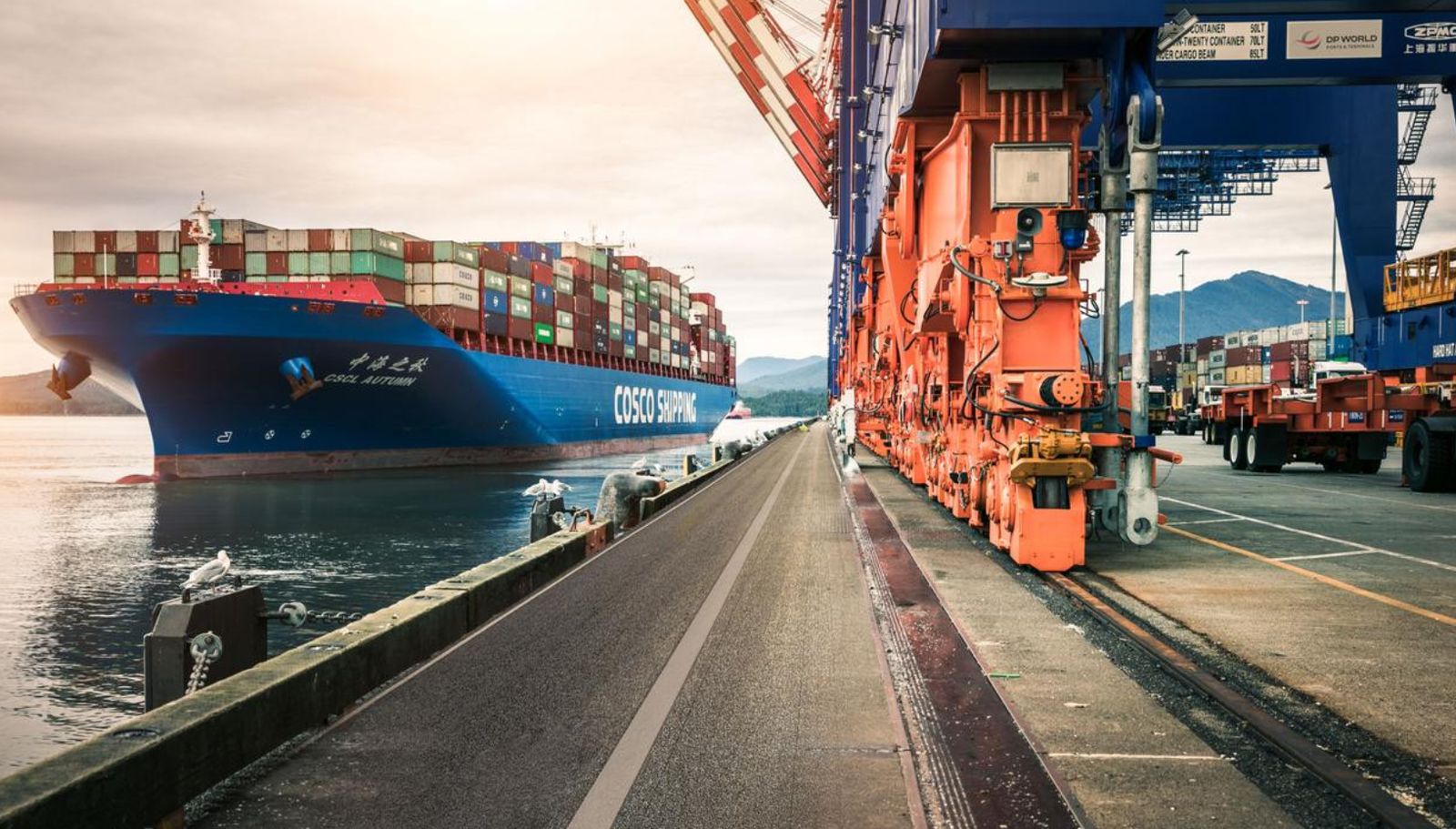 Expansion into logistics underpins DP World’s strong 2024 result