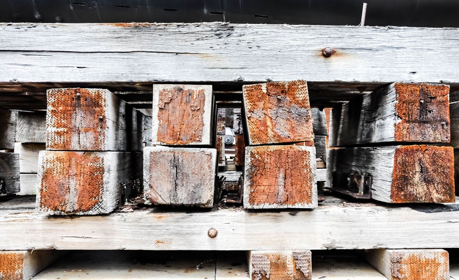 Penalties for pests found in project cargo packing add to shipper woes