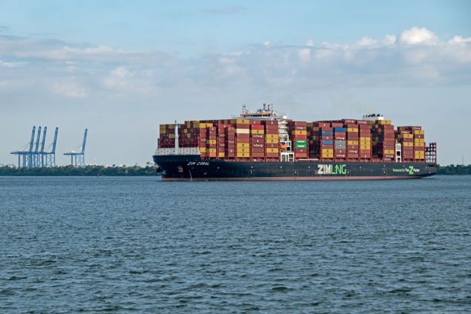 Zim reports Q1 loss, with bunker impact expected to worsen in Q2