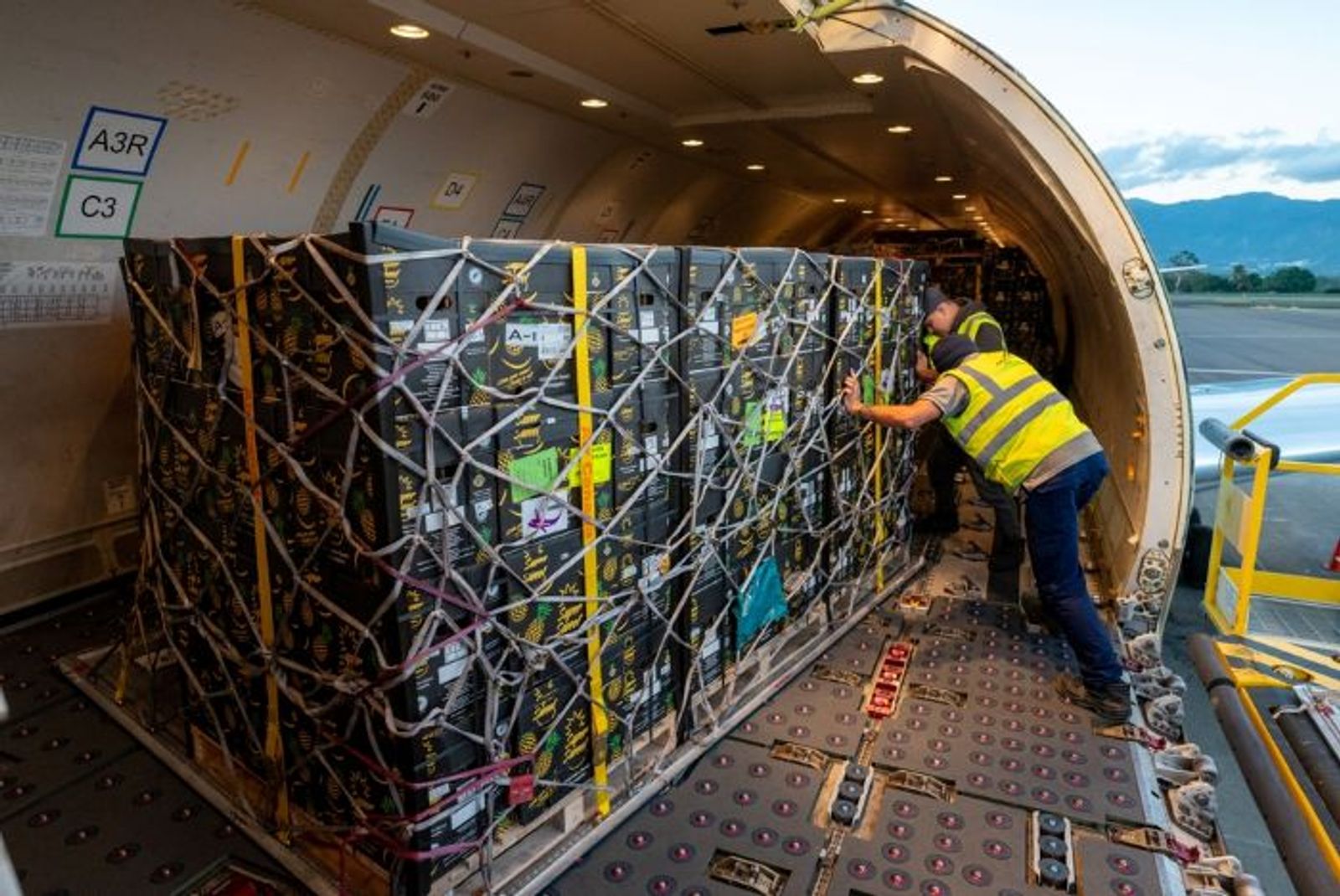 Pause IATA's new air waybill rules until legal clarity resolved: forwarders