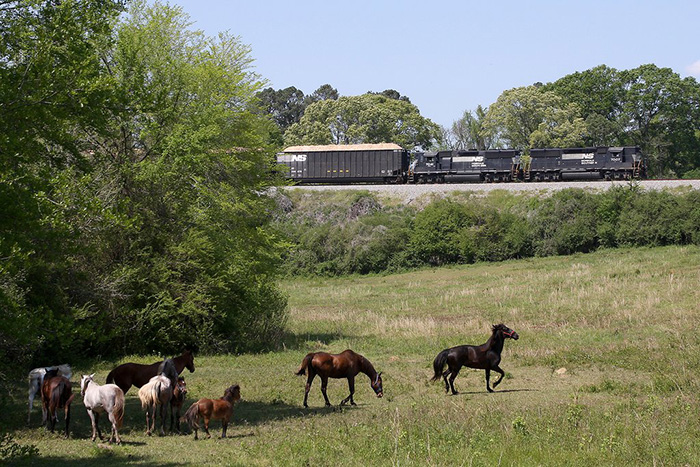 Canadian Pacific Drops Fight For Norfolk Southern Joc Com