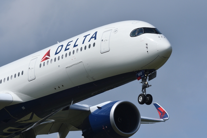 delta carry on weight